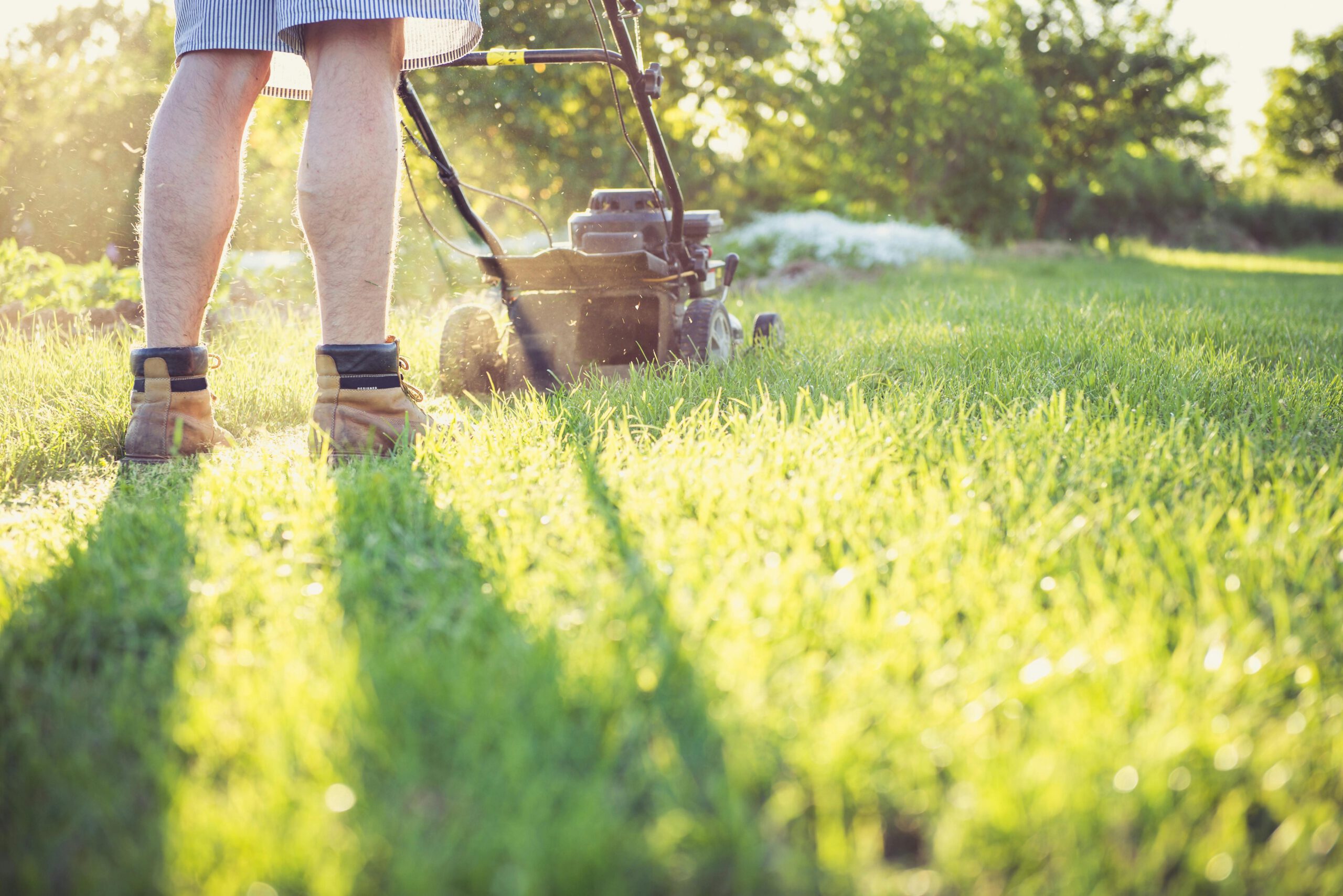 Revolutionizing Lawn Care in Missoula: Introducing Lawn Care Missoula